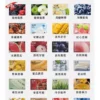 ILIA煙彈-哩啞霧化彈-通用悅刻Relx主機一代台灣 ILIA哩亞❤️🔥3顆入/通用一代🍬第一名的濃厚度