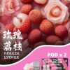 sp2s Max 專用彈❤️‍🔥一盒兩顆｜不通用其他品牌