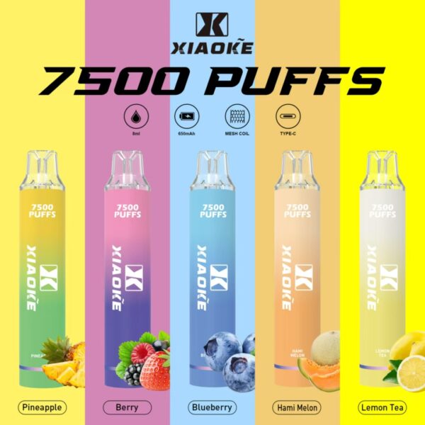 微信圖片_20250309014902.jpg 【XIAOKE 梟客】拋棄式🍬 7500口